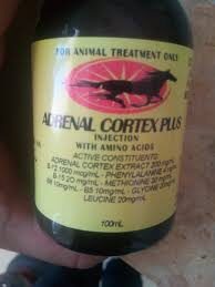 Buy Adrenal Cortex Plus online usa This product can be used with any other Vitamin from Racehorse Meds. This product is best used the day before and the day of the event.  For use as a supplemental source of Vitamins and Amino Acids in horses, cattle, sheep and swine. Buy Adrenal Cortex Plus online usa, where to buy Adrenal Cortex Plus, how can i order Adrenal Cortex Plus, best place to order Adrenal Cortex Plus with two days free shipping, what is Adrenal Cortex Plus, what is the cost of Adrenal Cortex Plus. How to use Adrenal Cortex Plus, Adrenal Cortex Plus side effect, Buy Adrenal Cortex Plus without prescription. Adrenal Cortex Plus is a potent anti-inflammatory agent that provides some analgesia and a sense of euphoria towards the horse. The adrenal cortex works best when used near the beginning of the event because the duration of the action is very short. Composition: Adrenal cortex 200 mg / ml, B12 1000 mcg / ml, phenylalanine 4 mg / ml, B15 20 mg / ml, methionine 20 mg / ml, B6 10 mg / ml, glycine 20 mg / ml, L-Leucine 20 mg / ml Adrenal Cortex plus  is a potent anti-inflammatory agent providing some analgesia along with a sense of euphoria to the horse. Adrenal Cortex works best when used close to the start of the event because the duration of action is very short.Adrenal Cortex plus Composition – Adrenal Cortex 200mg/ml, B12 1000mcg/ml, Phenylalanine 4mg/ml, B15 20mg/ml, Methionine 20mg/ml, B6 10mg/ml, Glycine 20mg/ml, L-Leucine 20mg/ml Adrenal Cortex plus Dosage and Administration- Administer 10ml by intramuscular or intravenous 1-2 hours prior to an event.Adrenal Cortex plus Presentation of Adrenal Cortex plus  – 100 ml sterile glass multidose vial. Storage – Store below 25C (air conditioning) and protect from light. Availability – This product is for General Sale.  These statements have not been evaluated by the Food and Drug Administration. This product is not intended to diagnose, treat, cure, or prevent any disease. Buy Adrenal Cortex Plus online usa, where to buy Adrenal Cortex Plus, how can i order Adrenal Cortex Plus, best place to order Adrenal Cortex Plus with two days free shipping, what is Adrenal Cortex Plus, what is the cost of Adrenal Cortex Plus. How to use Adrenal Cortex Plus, Adrenal Cortex Plus side effect, Buy Adrenal Cortex Plus without prescription. For – Horses, Dogs and Camels Note:  This product can be used with any other Vitamin or supplement from Racehorse Meds. This product is best used the day before and the day of the event.  For use as a supplemental source of Vitamins and Amino Acids in horses, cattle, sheep and swine. These statements have not been evaluated by the Food and Drug Administration. This product is not intended to diagnose, treat, cure, or prevent any disease. Adrenal omposition – A200mg/ml, B12 1000mcg/ml, Phenylalanine 4mg/ml, B15 20mg/ml, Methionine 20mg/ml, B6 10mg/ml, Glycine 20mg/ml, L-Leucine 20mg/ml Dosage and Administration- Administer 10ml by intramuscular or intravenous 1-2 hours prior to an event.Adrenal Cortex plus Presentation – 100 ml sterile glass multidose vial. Storage – Store below 25C (air conditioning) and protect from light. Availability – This product is for General Sale.  These statements have not been evaluate by the Food and Drug Administration. This product is not intended to diagnose, treat, cure, or prevent any disease For – Horses, Dogs and Camels Note:  This product can be used with any other Vitamin or supplement from Racehorse Meds. This product is best used the day before and the day of the event.  For use as a supplemental source of Vitamins and Amino Acids in horses, cattle, sheep and swine. These statements have not been evaluated by the Food and Drug Administration. This product is not intended to diagnose, treat, cure, or prevent any disease. Buy Adrenal Cortex Plus online usa, where to buy Adrenal Cortex Plus, how can i order Adrenal Cortex Plus, best place to order Adrenal Cortex Plus with two days free shipping, what is Adrenal Cortex Plus, what is the cost of Adrenal Cortex Plus. How to use Adrenal Cortex Plus, Adrenal Cortex Plus side effect, Buy Adrenal Cortex Plus without prescription.
