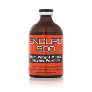 Buy Enduro 500 online Buy Enduro has the ability to reduce inflammation and Lactic acid build up in muscles, which allows the competitive animal to excel and perform to the best of its ability Buy Enduro 500 online usa, Enduro 500 for sale Hawaii, Order Enduro 500 online Idaho, best place to buy Increlex, How to use Enduro 500. Looking for Enduro 500 online, cheap Enduro 500, what is the cost of Enduro 500, is Increlex good for human, Buy Enduro 500 without prescription, Order Enduro 500 with free shipping, How long dose Enduro 500 last in the system.  Enduro 500 will revolutionise the racing scene as we know it today, with its advanced scientific research and development that has finally come to fruition after years of trials. Why Use E 500 prepares and fuels the muscles of our Equine and Camel athletes, it assists the cardiovascular system and respiratory function allowing it to work in perfect harmony. It has the ability to reduce inflammation and Lactic acid build up in muscles, which allows the competitive animal to excel and perform to the best of its ability.  Is It Legal in Performance Animals? 500 is 100% drug free and it contains no prohibite substances and it does not swab, it is totally safe to use in all forms of competition. All users must adhere to the rules of racing in their country or state. Buy Enduro 500 online usa, Enduro 500 for sale Hawaii, Order Enduro 500 online Idaho, best place to buy Increlex, How to use Enduro 500. Looking for Enduro 500 online, cheap Enduro 500, what is the cost of Enduro 500, is Increlex good for human, Buy Enduro 500 without prescription, Order Enduro 500 with free shipping, How long dose Enduro 500 last in the system. Active Ingredients i00 Alpha-Ketoglutorate, Aspartates, Inosine, Malic Acid, NADH, Pyruvate. These ingredients then are processed with our patented maturation technology. Performance Dosage: Give 10ml IV or orally 24hrs before and then 5hrs before competition. If it is used IV, it must be administered by a licensed professional. Why Use E 500 prepares and fuels the muscles of our Equine and Camel athletes, it assists the cardiovascular system and respiratory function allowing it to work in perfect harmony. It has the ability to reduce inflammation and Lactic acid build up in muscles, which allows the competitive animal to excel and perform to the best of its ability. Buy Enduro 500 online usa, Enduro 500 for sale Hawaii, Order Enduro 500 online Idaho, best place to buy Increlex, How to use Enduro 500. Looking for Enduro 500 online, cheap Enduro 500, what is the cost of Enduro 500, is Increlex good for human, Buy Enduro 500 without prescription, Order Enduro 500 with free shipping, How long dose Enduro 500 last in the system.