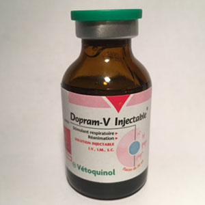 Order Doxapram v injection online  DOXAPRAM V INJECTION  (Doxapram Hydrochloride), 20 ML  Online from us at very competitive prices. We are 100% legit and efficient supplier of performance supplements for equine sports. We offer the best market prices and offer a huge discount for bulk buyers. Order Doxapram v injection online usa, Buy Doxapram v injection online Iowa, what is Doxapram v injection, how to use Doxapram v injection, what is the cost of Doxapram v injection. Doxapram v injection for bodybuilding, how long doese Doxapram v injection last in the system, Doxapram v injection side effect, Buy Doxapram v injection without prescription. Order Doxapram v injection near me, Best place to buy Doxapram v injection , is Doxapram v injection good for humans. For more information or a special quotation, do not hesitate to contact us. Why Buy Dopram-V Injection Dopram-V (doxapram hydrochloride) is a potent respiratory stimulant. It is unique in its ability to stimulate respiration at dosages considerably below those required to evoke cerebral cortical stimulation. Docapram minimizes or prevents the undesirable effect of post-anesthetic respiratory depression or hypoventilation and hastens recovery. Indications For cats, dogs and horses – To stimulate respiration during and after general anesthesia – To speed awakening and return of reflexes after anesthesia. Order Doxapram v injection online usa, Buy Doxapram v injection online Iowa, what is Doxapram v injection, how to use Doxapram v injection, what is the cost of Doxapram v injection. Doxapram v injection for bodybuilding, how long doese Doxapram v injection last in the system, Doxapram v injection side effect, Buy Doxapram v injection without prescription. Order Doxapram v injection near me, Best place to buy Doxapram v injection , is Doxapram v injection good for humans. For neonate dogs and cats – To initiate respirations following dystocia or cesarean section – To stimulate respirations following dystocia or cesarean section Buy Dopram-V Injection (Doxapram Hydrochloride), 20 ML  Online from us at very competitive prices. We are 100% legit and efficient supplier of performance supplements for equine sports. We offer the best market prices and offer a huge discount for bulk buyers. Packaging and shipping are very discreet and bypass all custom or law enforcement. Delivery through regular and express airmail within 2-3 business days from dispatch. Order Doxapram v injection online usa, Buy Doxapram v injection online Iowa, what is Doxapram v injection, how to use Doxapram v injection, what is the cost of Doxapram v injection. Doxapram v injection for bodybuilding, how long doese Doxapram v injection last in the system, Doxapram v injection side effect, Buy Doxapram v injection without prescription. Order Doxapram v injection near me, Best place to buy Doxapram v injection , is Doxapram v injection good for humans.