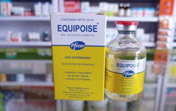 equipoise are a class of drugs that are relate to the horse hormone, testosterone. These drugs help rebuild tissues that are weakened due to disease, injury, or surgery equipoise  steroids are used in equine medicine for building weight and muscle mass, and to alleviate anemia. In the race horse industry, many consider the use of equipoisesteroids as a means to improve speed and win more race. scientific studies show that anabolic steroids have not proven to be of benefit to the horse. These studies are at odds with the conventional thinking and anecdotal evidence that supports their use in the performance horse industries, specifically racing. Because of the stigma associated with the use of anabolic steroids in human athletes, there is much higher scrutiny in the non-therapeutic use of these drugs as performance-enhancers. An excellent technical paper on the use of equipoise steroids to improve performance in horses is “Pharmacokinetics of Boldenone and Stanozolol and the Results of Quantification of Anabolic and Androgenic Steroids in Race Horses and Non Race Horses,” by Soma et al (Journal of Veterinary Pharmacology and Therapeutics, 2007). are persistent drugs with effects that last up to several weeks following the last dose. As prescription drugs subject to the equipoise Steroid Control Act, federal law restricts the use of these drugs without orders from a licensed veterinarian.