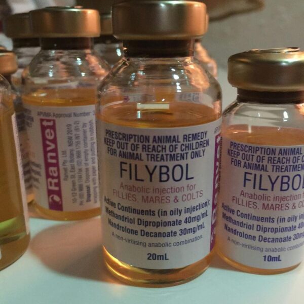 Buy Filybol online  FILYBOL decanoate is indicated for the management of the anemia of renal insufficiency and has been shown to increase hemoglobin and red cell mass for horses, cattle camel and animal in general. Surgically induced anephric patients have been reported to be less responsive. Buy Filybol online usa, Order Filybol  online Arkansas. What is the cost of Filybol, where to buy Filybol , how to use Filybol. How long does Filybol last in the system, Filybol side effect. Best place to buy Filybol near me Colorado. Buy Filybol with 2 days free shipping. Order Filybol near me Delaware, where to get Filybol in Georgia. cheap Filybol Description (Filybol) decanoate is indicated for the management of the anemia of renal insufficiency and has been shown to increase hemoglobin and red cell mass for horses, cattle camel and animal in general. Surgically induced anephric patients have been reported to be less responsive HOW SHOULD I USE (FILYBOL)? Use Nandrolone (Filybol) as directed by your doctor. Check the label on the medicine for exact dosing instructions. Nandrolone (Filybol) is usually administered as an injection at your doctor’s office, vet clinic, or clinic. If you are using Nandrolone at your horse or cattle or camel , carefully follow the injection procedures taught to you by your vet doctor prescribe care provider. If Nandrolone (Filybol) contains particles or is discolored, or if the vial is cracked or damaged in any way, do not use it. Buy Filybol online usa, Order Filybol  online Arkansas. What is the cost of Filybol, where to buy Filybol , how to use Filybol. How long does Filybol last in the system, Filybol side effect. Best place to buy Filybol near me Colorado. Buy Filybol with 2 days free shipping. Order Filybol near me Delaware, where to get Filybol in Georgia. cheap Filybol Keep this product, as well as syringes and needles, out of the reach of children and away from pets. Do not reuse needles, syringes, or other materials. Dispose of properly after use. Ask your doctor or pharmacist to explain local regulations for proper disposal. If you miss a dose ), use it as soon as possible. If it is almost time for your next dose, skip the missed dose and go back to your regular dosing schedule. Do not use 2 doses at once. If Nandrolone contains particles or is discolored, or if the vial is cracked or damaged in any way, do not use it. Keep this product, as well as syringes and needles, out of the reach of children and away from pets. Do not reuse needles, syringes, or other materials. Dispose of properly after use. Ask your doctor or pharmacist to explain local regulations for proper disposal. If you miss a dose ), use it as soon as possible. If it is almost time for your next dose, skip the missed dose and go back to your regular dosing schedule. Do not use 2 doses at once. Buy Filybol online usa, Order Filybol  online Arkansas. What is the cost of Filybol, where to buy Filybol , how to use Filybol. How long does Filybol last in the system, Filybol side effect. Best place to buy Filybol near me Colorado. Buy Filybol with 2 days free shipping. Order Filybol near me Delaware, where to get Filybol in Georgia. cheap Filybol