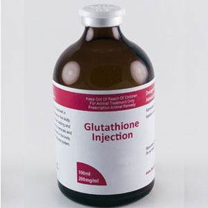 Buy Glutathione Injection 200 Mg online without prescription  Glutathione Injection, 200 Mg Online from us at very competitive prices. We are 100% legit and efficient supplier of performance supplements for equine sports. We offer the best market prices and offer a huge discount for bulk buyers. Packaging and shipping are very discreet and bypass all custom or law enforcement. Delivery through regular and express airmail within 2-3 business days from dispatch. Buy Glutathione Injection, 200 Mg online without prescription usa, Order Glutathione Injection, 200 Mg online Alaska, what is Glutathione Injection, 200 Mg, how to use Glutathione Injection, 200 Mg, Is Glutathione Injection, 200 Mg good for humans. how to use Glutathione Injection, 200 Mg, Glutathione Injection, 200 Mgfor sale, looking for Glutathione Injection, 200 Mg online, Glutathione Injection, 200 Mg for horse.  For more information or a special quotation, do not hesitate to contact us.  Benefits Of Buying Glutathione Injection Online Glutathione (200mg/ml) is involved in many processes in the body, including tissue building and repair, making chemicals and proteins needed in the body, and for the immune system. Buy Glutathione Injection, 200 Mg online without prescription usa, Order Glutathione Injection, 200 Mg online Alaska, what is Glutathione Injection, 200 Mg, how to use Glutathione Injection, 200 Mg, Is Glutathione Injection, 200 Mg good for humans. How to Administer and Store Glutathione Injection: Dosage and Administration: Administer 20ml IV post event. Store below 3 degrees C (REFRIGERATE), do not freeze and protect from light. For use as a supplemental source of Vitamins & Amino Acids in horses, cattle, sheep,  swine, camels, alpacas and pigeons.  These statements have not been evaluated by the Food and Drug Administration. This product is not intend to diagnose, treat, cure, or prevent any disease. Buy Glutathione Injection, 200 Mg Online from us at very competitive prices. We are 100% legit and efficient supplier of performance supplements for equine sports.  We offer the best market prices and offer a huge discount for bulk buyers. Packaging and shipping are very discreet and bypass all custom or law enforcement. Delivery through regular and express airmail within 2-3 business days from dispatch. Buy Glutathione Injection, 200 Mg online without prescription usa, Order Glutathione Injection, 200 Mg online Alaska, what is Glutathione Injection, 200 Mg, how to use Glutathione Injection, 200 Mg, Is Glutathione Injection, 200 Mg good for humans. how to use Glutathione Injection, 200 Mg, Glutathione Injection, 200 Mgfor sale, looking for Glutathione Injection, 200 Mg online, Glutathione Injection, 200 Mg for horse. 