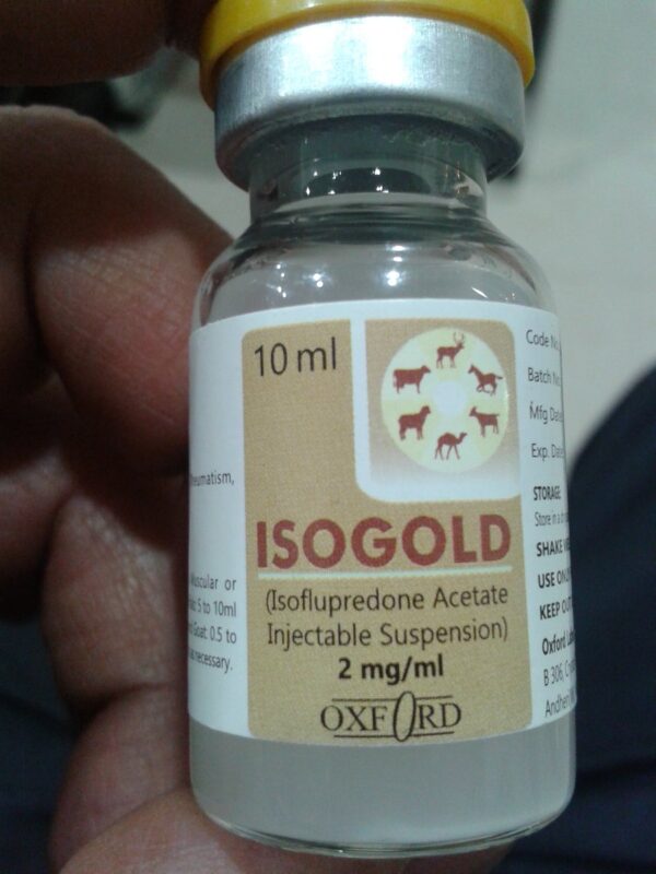 Buy Isogold injectable online  NAME OF THE VETERINARY MEDICINAL PRODUCT Isogold injectable/ ml. Medicines should not be disposed of in wastewater or household waste. Solution for injection for horses, cattle, pigs, sheep, goats and dogs. Ask your veterinarian or pharmacist for information on how to dispose of medicines that are no longer needed. These measures contribute to the protection of the environment. Buy Isogold injectable online usa, Order Isogold injectable online Utah, Isogold injectable price in Vermont, Isogold injectable for sale in Virginia, Buy Isogold injectable without prescrription Washington, where can i order Isogold injectable online Wisconsin, best place to order Isogold injectable in Texas, Order Isogold injectable near me South Carolina, How quickly does Isogold injectable work, does Isogold injectable work for weight loss, what does Isogold injectable  mean, how to take Isogold injectable.  PRODUCT NAME Ise Solution for injection for horses, cattle, pigs, sheep, goats and dogs. NAME OF THE VETERINARY MEDICINAL PRODUCT  Isogold injectable. Solution for injection for horses, cattle, pigs, sheep, goats and dogs. Iron ions (Ill) in the form of iron hydroxide-dextran complex. STATEMENT OF THE ACTIVE SUBSTANCES AND OTHER INGREDIENTS (INGREDIENTS) Isogold injectable Each ml contains: Active substance : Iron (III) ions in the form of hydroxide. iron-dextran complex ……………. 100 mg. Excipients of Isogold injecta: Sodium methyl-4-hydroxybenzoate ……… ..1.05 mg; Sodium propyl-4-hydroxybenzoate ……… .016 mg. INDICATION (INDICATIONS)  For the treatment and prevention of iron deficiency and anemia caused by iron deficiency. For the prophylaxis of anemia caused by iron deficiency in piglets. Buy Isogold injectable online usa, Order Isogold injectable online Utah, Isogold injectable price in Vermont, Isogold injectable for sale in Virginia, Buy Isogold injectable without prescrription Washington, where can i order Isogold injectable online Wisconsin,  CONTRAINDICATIONS  Do not use in the case of animals suffering from an infectious disease, especially diarrhea. Do not administer to piglets suspected of vitamin E and / or selenium deficiency. It is not used in cases of hypersensitivity to the active substance or to any of the excipients. ADVERSE REACTIONS Injection with iron-dextran can in very rare cases cause hypersensitivity or even analytical reactions, which can be severe or fatal in particular situations. In newborn piglets, vitamin E and selenium deficiency is considered as a particular risk factor. In particular, fatal reactions can sometimes occur in horses. Frequency of adverse reactions is defined using the following convention : – Very common (more than 1 in 10 treated animals presenting adverse reactions during treatment); – Common (more than 1 but less than 10 animals out of 100 treated animals). – Less common (more than 1 but less than 10 animals out of 1,000 treated animals). – Rare (more than 1 but less than 10 animals out of 10,000 treated animals). – Very rare (less than 1 animal in 10,000 treated animals, including isolated reports). If you notice any side effects, even those not already listed in this leaflet or if you think the medicine has not had any effect, please inform your veterinarian. Alternatively, you can report through the national reporting system. TARGET SPECIES I Horses (cattle feed), cattle, swine, sheep, goats, dogs. Buy Isogold injectable online usa, Order Isogold injectable online Utah, Isogold injectable price in Vermont, Isogold injectable for sale in Virginia, Buy Isogold injectable without prescrription Washington, where can i order Isogold injectable online Wisconsin, best place to order Isogold injectable in Texas, Order Isogold injectable near me South Carolina, How quickly does Isogold injectable work, does Isogold injectable work for weight loss, what does Isogold injectable  mean, how to take Isogold injectable. 