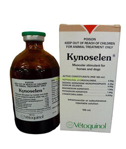 Buy Kynoselen Injection 100mL online  Kynoselen Injection 100mL  is a cardiac & respiratory tonic & selenium supplement. Kynoselen treats selenium deficiency and increases and helps selenium supplementation. Kynoselen protects muscles and delays the onset of Muscle fatigue. Muscular stimulant for horses and dogs. Aids in control of muscular dystrophy in horses and dogs. (tying up in horses). Buy Kynoselen Injection 100mL online usa, Order Kynoselen Injection 100mL online Arkansas. What is the cost of Kynoselen Injection 100mL, where to buy Kynoselen Injection 100mL, how to use Kynoselen Injection 100mL. How long does Kynoselen Injection 100mL last in the system, Kynoselen Injection 100mL side effect. Best place to buy Kynoselen Injection 100mL near me Colorado. Buy Kynoselen Injection 100mL with 2 days free shipping. Order Kynoselen Injection 100mLnear me Delaware, where to get Kynoselen Injection 100mL in Georgia. cheap Kynoselen Injection 100mL. Active constituents: Disodic adenosine monophosphate: Improves cardiac and skeletal muscle output & increases blood supply to muscles. Heptaminol hydrochloride: Increases cardiac output to meet increased demand during & following exercise & training. Magnesium aspartate Postassium aspartate: reported to be of value in delaying the onset of muscle fatigue. Selenium (as sodium selenite): Highly available selenium. Prevents & treats selenium deficiency. Protects from muscle damage & “tying-up”. Cyanocobalamin (Vitamin B12): For carbohydrate, protein & amino acid metabolism (the process by which food is used to produce energy). Improves appetite with a “tonic” effect. Selenium: Selenium is an essential trace element. An important interrelationship exists between Vitamin E and selenium. Selenium is important for: the immune system cell membranes (protects cells from damage) for the prevention of muscle degenerative conditions for cardiac & skeletal muscles. Vitamin E and selenium are essential to protect the integrity of muscle cells. Selenium is required for the formation of glutathione peroxidase, a key ingredient in energy production. Both Vitamin E and selenium are important antioxidants, working to scavenge free radicals that damage muscle cells. Buy Kynoselen Injection 100mL online usa, Order Kynoselen Injection 100mL online Arkansas. What is the cost of Kynoselen Injection 100mL, where to buy Kynoselen Injection 100mL, how to use Kynoselen Injection 100mL. How long does Kynoselen Injection 100mL last in the system, Kynoselen Injection 100mL side effect.  Selenium Deficiency: Large areas of Australia are known to be selenium deficient. Hay & grain grown in soils in these areas will be selenium deficient. Both selenium & vitamin E appear essential for muscle function and the contribution of each is dependent on the other. It appears that it takes a considerable time (from 8 – 10 weeks) for dietary selenium supplementation to increase blood glutathione peroxidase (the enzyme that combines with Vitamin E to protect muscles & muscle activity). Injections of sodium selenite repeated weekly or fortnightly are recommended. Kynoselen: Prevention & Treatment: Regular treatment with Kynoselen is recommend: to treat selenium deficiency to increase the intensity of exercise & training for accurate, reliable selenium supplementation as a cardiac & muscle “tonic”. Other effects of muscle fatigue which may not be easily recognised include damage to skeletal muscles, circulatory (heart) and respiratory (lung) systems. In the legs, the shift from muscle contraction to relaxation pulls and releases the tendons, controlling the movement of the bones. When muscles fatigue the horse begins to lose control over the stride, increasing the danger that a tendon will be extended at the wrong time. The injuries that result range from bowed tendons to bone fractures. Dose & Administration (Horses): Administer by intramuscular or subcutaneous injection. For Prevention of Selenium deficiency: Adult Horses: 20ml weekly for 2 to 3 weeks. Foals: 10ml weekly for 2 to 3 weeks. For Treatment of Selenium deficiency: Adult Horses: 20ml every 3 days (total of 4 injections). Foals: 10ml every 3 days (total of 4 injections). The response should be reviewed at the end of the four treatments. Store below 25 degrees Celsius & protect from light. Buy Kynoselen Injection 100mL online usa, Order Kynoselen Injection 100mL online Arkansas. What is the cost of Kynoselen Injection 100mL, where to buy Kynoselen Injection 100mL, how to use Kynoselen Injection 100mL. How long does Kynoselen Injection 100mL last in the system, Kynoselen Injection 100mL side effect. Best place to buy Kynoselen Injection 100mL near me Colorado. Buy Kynoselen Injection 100mL with 2 days free shipping. Order Kynoselen Injection 100mLnear me Delaware, where to get Kynoselen Injection 100mL in Georgia. cheap Kynoselen Injection 100mL.