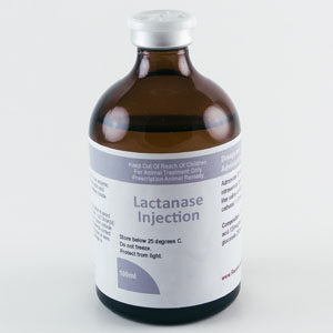 LACTANASE contains dichloroacetic acid, which is an activator of the enzyme pyruvate dehydrogenase.  This enzyme plays a central role in the process of lactic acid production during hard work and extensive exercise.  Supplementing with dichloroacetic acid (DCA) results in activation of the enzyme pyruvate dehydrogenase, which leads to a reduction in the rate of lactic acid production and accumulation in muscles. Buy Lactanase injection, 100ML online usa, Order Lactanase injection, 100ML near me Maine, Lactanase injection, 100ML for sale. Best place to buy Lactanase injection, 100ML, How to use Lactanase injection, 100ML. Where to order Lactanase injection, 100ML, cheap Lactanase injection, 100ML, what is Lactanase injection, 100ML, Order Lactanase injection, 100ML online without prsecription, Lactanase injection, 100MLfor bodybuilding. How long does Lactanase injection, 100MLlast in the system, Buy Lactanase injection, 100ML cheap. Buy LACTANASE Injection, 100 ML Online from us at very competitive prices. We are 100% legit and efficient supplier of performance supplements for equine sports. We offer the best market prices and offer a huge discount for bulk buyers. Packaging and shipping are very discreet and bypass all custom or law enforcement. Delivery through regular and express airmail within 2-3 business days from dispatch. For more information or a special quotation, do not hesitate to Why Buy LACTANASE Injection For your Horse Lactanase Injection is an enzymic modulator to reduce lactic acid accumulation plus delay muscle fatigue. COMPOSITION: Dichloroacetic acid 120mcg/ml,  sodium gluconate 250mg/ml ACTIONS: LACTANASE is used to help reduce the incidence of tying up by reducing the buildup of lactic acid in the muscle cells. Buy Lactanase injection, 100ML online usa, Order Lactanase injection, 100ML near me Maine, Lactanase injection, 100ML for sale. Best place to buy Lactanase injection, 100ML, How to use Lactanase injection, 100ML. Where to order Lactanase injection, 100ML, cheap Lactanase injection, 100ML, what is Lactanase injection, 100ML,  INDICATIONS: LACTANASE contains dichloroacetic acid, which is an activator of the enzyme pyruvate dehydrogenase.  This enzyme plays a central role in the process of lactic acid production during hard work and extensive exercise.  Supplementing with dichloroacetic acid (DCA) results in activation of the enzyme pyruvate dehydrogenase, which leads to a reduction in the rate of lactic acid production and accumulation in muscles.  Elevated plasma lactate levels result in a reduction in pH which contributes to muscle fatigue and decreased muscle performance.  Supplementing with DCA has been shown to reduce lactic acid accumulation during exercise and also produce a significant delay in muscle fatigue. FOR: Horses, Dogs, Camels DOSAGE & ADMINISTRATION:   Administer 20-40 ml by intravenous (diluted in 1 liter saline or administer via catheter) 1-2 times weekly. STORAGE: Store below 25 C (Air Conditioning) NOTES: This product can be used with any other Vitamin or supplement from Best Equine Meds. This product is best used the day before and the day of event.  For use as a supplemental source of Vitamins & Amino Acids in horses, cattle, sheep, swine, camels, alpacas and pigeons.  These statements have not been evaluated by the Food and Drug Administration. This product is not intended to diagnose, treat, cure or prevent any disease. WARNING: Take caution to avoid leakage from the vein.  LACTANASE is extremely irritant if given outside the vein.  Avoid accidental contact with mucous membranes or eyes.  Avoid accidental spillage or overspray. For use as a supplemental source of Vitamins & Amino Acids in horses, cattle, sheep, swine, camels, alpacas and pigeons. These statements have not been evaluated by the Food and Drug Administration. This product is not intended to diagnose, treat, cure or prevent any disease. LACTANASE contains dichloroacetic acid, which is an activator of the enzyme pyruvate dehydrogenase.  This enzyme plays a central role in the process of lactic acid production during hard work and extensive exercise.  Supplementing with dichloroacetic acid (DCA) results in activation of the enzyme pyruvate dehydrogenase, which leads to a reduction in the rate of lactic acid production and accumulation in muscles.  Elevate plasma lactate levels result in a reduction in pH which contributes to muscle fatigue and decreased muscle performance.  Supplementing with DCA has been shown to reduce lactic acid accumulation during exercise and also produce a significant delay in muscle fatigue. Buy Lactanase injection, 100ML online usa, Order Lactanase injection, 100ML near me Maine, Lactanase injection, 100ML for sale. Best place to buy Lactanase injection, 100ML, How to use Lactanase injection, 100ML. Where to order Lactanase injection, 100ML, cheap Lactanase injection, 100ML, what is Lactanase injection, 100ML, Order Lactanase injection, 100ML online without prsecription, Lactanase injection, 100MLfor bodybuilding. How long does Lactanase injection, 100MLlast in the system, Buy Lactanase injection, 100ML cheap.