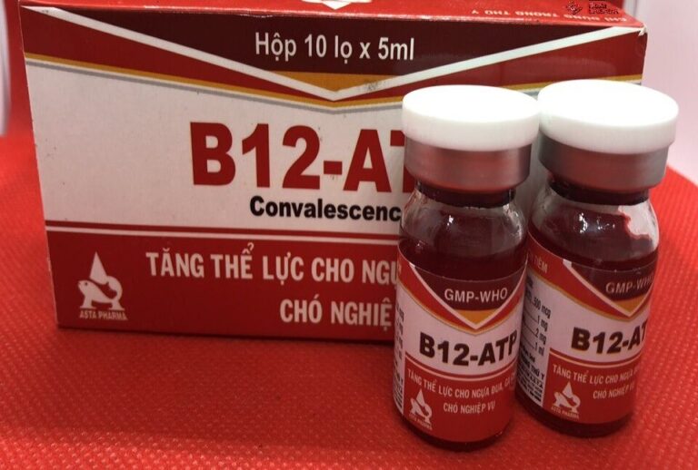 Order ATP/B12 online  ACTIONS endurance explosion injection boost in poor performance in horses. Iron deficiency also compromises immunity and health and also increases susceptibility to disease and infection. Anemia also reduces blood enzymes which are important for the elimination of harmful metabolites produce by muscles during racing. Order ATP/B12 online usa, Buy ATP/B12 online Iowa, what is ATP/B12, how to use ATP/B12, what is the cost of ATP/B12. ATP/B12 for bodybuilding, how long doese ATP/B12 last in the system, ATP/B12 side effect,  ATP/B12 injection Compare to the active ingredient is use  for the performance deficiency in race horses, dogs and camels Trials with iron injection uses in racing horses and dogs show that treatment consistently increase hemoglobin and other blood values under different treatment frequencies and dose schedules. The effects of the treatment as measured by improvement in hemoglobin was evident for up to three months.  buy ATP/B12 online For: Horses, Dogs & Camels Dosage and Administration: Administer by SLOW intravenous injection only. Intravenous injection uses should only be carried out by or under the supervision of, a registered veterinarian. Foals: 10ml Yearlings and adult horses: 20ml Use weekly or as require. The frequency & length of treatment will depend upon the severity of the iron deficiency. To be used by or under the supervision of a register veterinary surgeon. Warning: In extremely rare circumstances an anaphylactic reaction may occur. Appropriate treatment for anaphylactic shock should be institute. The safety of Iron Sucrose (Compare to the active ingredient of has been reported in a number of studies. Order ATP/B12 online usa, Buy ATP/B12 online Iowa, what is ATP/B12, how to use ATP/B12, what is the cost of ATP/B12. ATP/B12 for bodybuilding, how long doese ATP/B12 last in the system, ATP/B12 side effect Storage: Store below 25C (Air Conditioning) and protect from light. Shelf life is 12 months. Use the contents of the vial within 3 months of initial broaching and discard any unused portion.full speed 50ml online This product is not manufacture or distribute by Bioniche Animal Health, distributor of # For use as a supplemental source of Vitamins & Amino Acids in horses, cattle, sheep, swine, camels, alpacas and pigeons. These statements have not been evaluated by the Food and Drug Administration. This product is not intended to diagnose, boost performance treat, cure or prevent any disease. Order ATP/B12 online usa, Buy ATP/B12 online Iowa, what is ATP/B12, how to use ATP/B12, what is the cost of ATP/B12. ATP/B12 for bodybuilding, how long doese ATP/B12 last in the system, ATP/B12 side effect