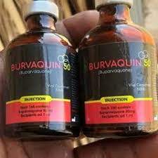 BURVAQUIN oman injection is a prescription medication used to treat high blood pressure and other cardiovascular diseases. Learn more about its uses, benefits, and risks in this guide!