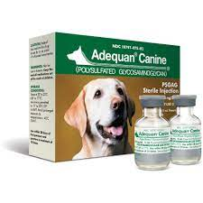 adequan canine cost 