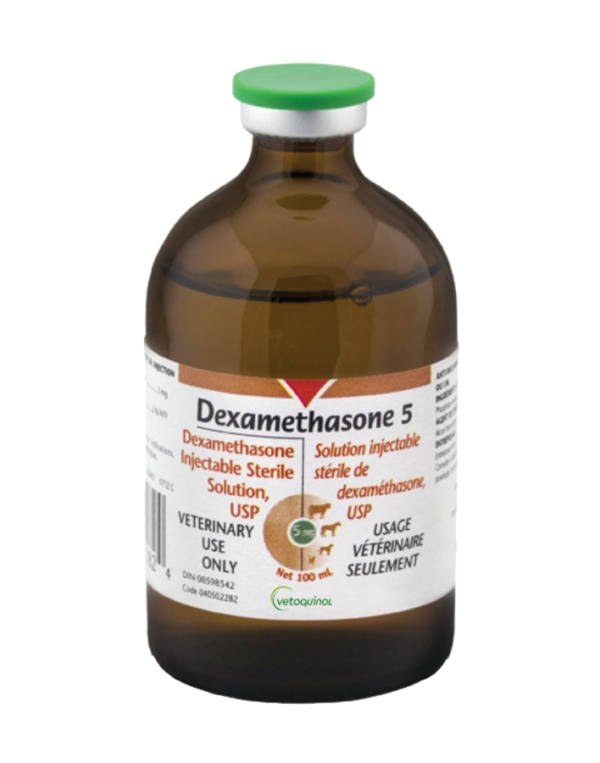 Dexamethasone 5 is indicated as an aid in the treatment of bovine ketosis and as anti-inflammatory agent in dogs, cats, cattle and horses....