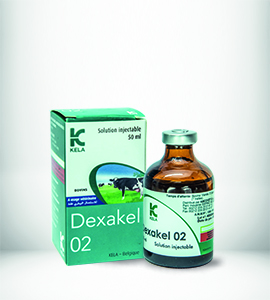 Dexakel O2 Injection Solution is a veterinary medication primarily containing Dexamethasone, a potent corticosteroid used for its anti-inflammatory.....