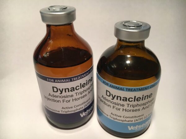 Dynacleine is a veterinary injectable product used primarily in racing animals like greyhounds and horses. It contains a combination of electrolytes and..