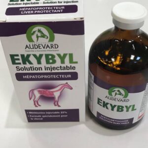 EKYBYL Enhances metabolic processes by supplying the body with nutrients necessary for energy production and overall cellular function.