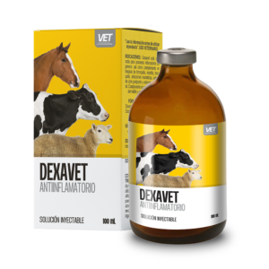 Dexavet Injection is a veterinary corticosteroid containing dexamethasone, which is used to treat various inflammatory, allergic, and immune-mediated