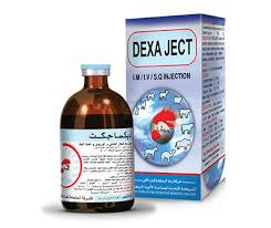 Dexaject 100ml is a veterinary medication that contains Dexamethasone, a synthetic corticosteroid commonly used to treat inflammation, allergic reactions.