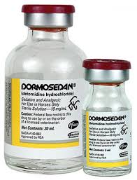 Dormosedan for horse is a versatile sedative used for various purposes in horses, including calming anxious horses, facilitating dental work, and...