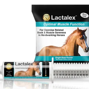 lactanase for horse, lactanase injection for horse , lactanase equine, lactanase power, lactanase paste for horse