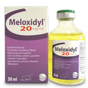 Meloxidyl 2% Injection | Fever and inflammation treatment