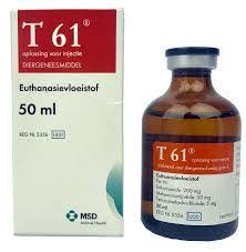 T-61 MSD Animal Health | vet-only euthanasia injection.