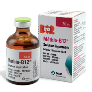 Methio B12 Veterinary Injection 50 mL | Buy Methio B12 injection