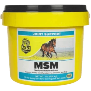 MSM for Equine Joint Support | Buy MSM for Equine Joint Support