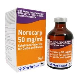 Buy Norocarp Solution Online | Norocarp for dogs and horses
